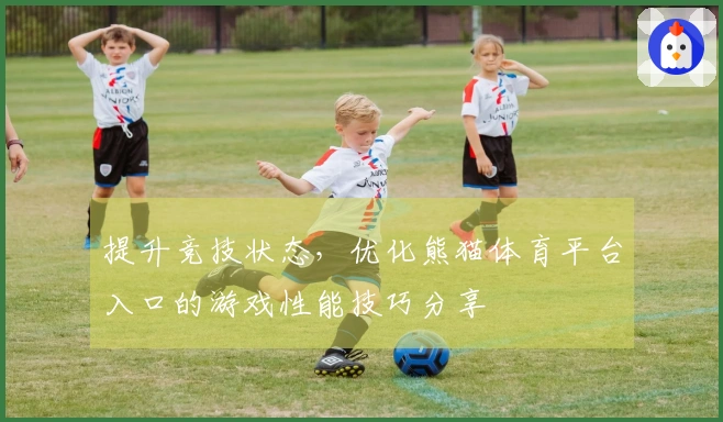 提升竞技状态，优化熊猫体育平台入口的游戏性能技巧分享