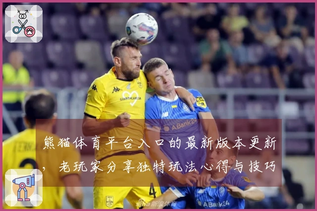 熊猫体育平台入口的最新版本更新，老玩家分享独特玩法心得与技巧