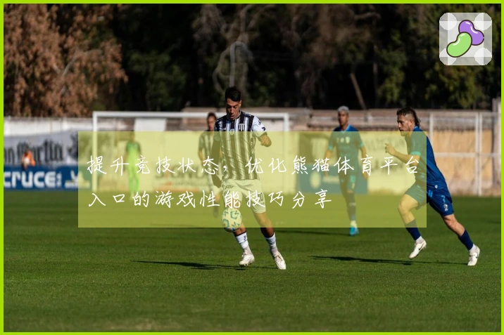 提升竞技状态，优化熊猫体育平台入口的游戏性能技巧分享