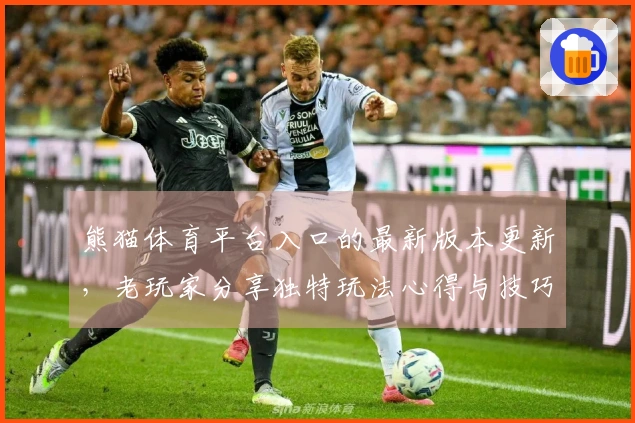 熊猫体育平台入口的最新版本更新，老玩家分享独特玩法心得与技巧